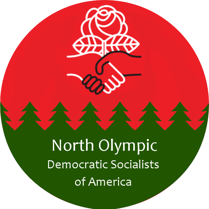 North Olympic DSA